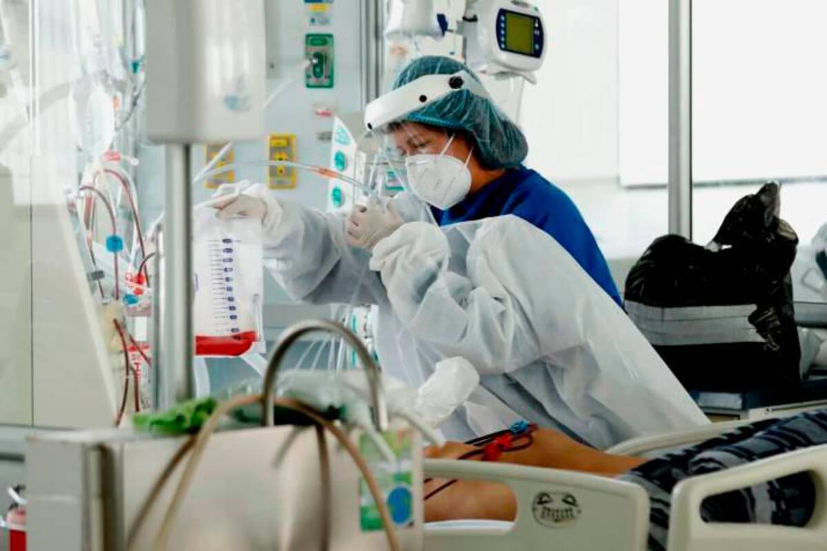 Científicos advirtieron sobre la presencia de cuatro virus que podrían desencadenar una próxima pandemia