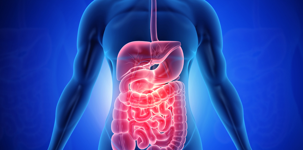 Una salud total comienza por el sistema digestivo