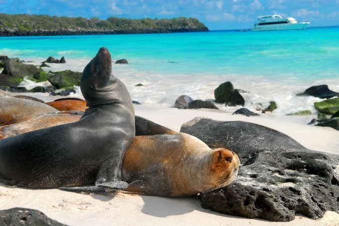 Alerta de tsunami! Cierre temporal de sitios turísticos en Galápagos