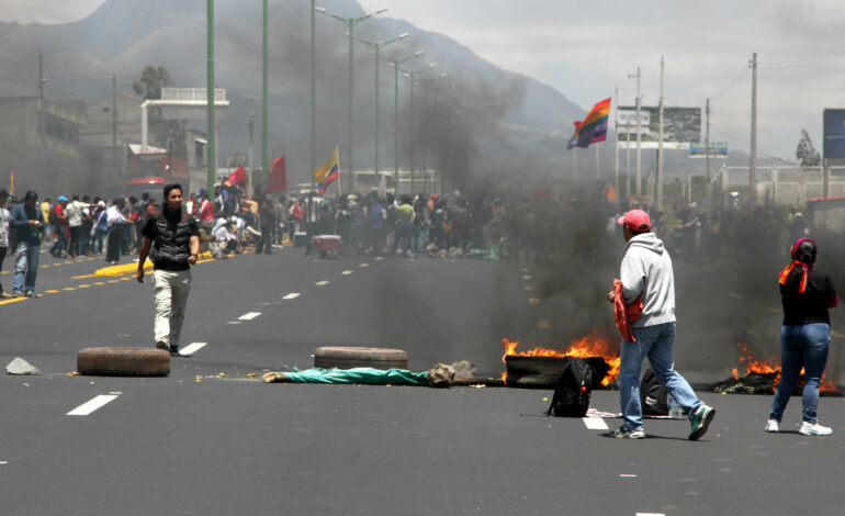 Manifestantes asaltan fincas de flores y causa perdidas millonarias