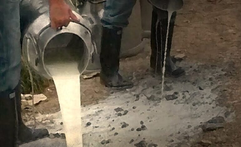 Pérdidas millonarias al sector lechero como consecuencia del paro