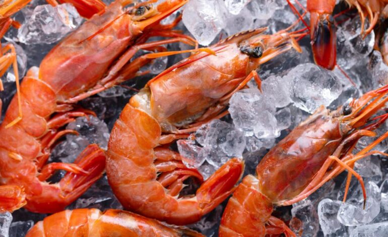 Alerta en Indonesia tras detectar cargamento de camarones radiactivos exportados a EE. UU.