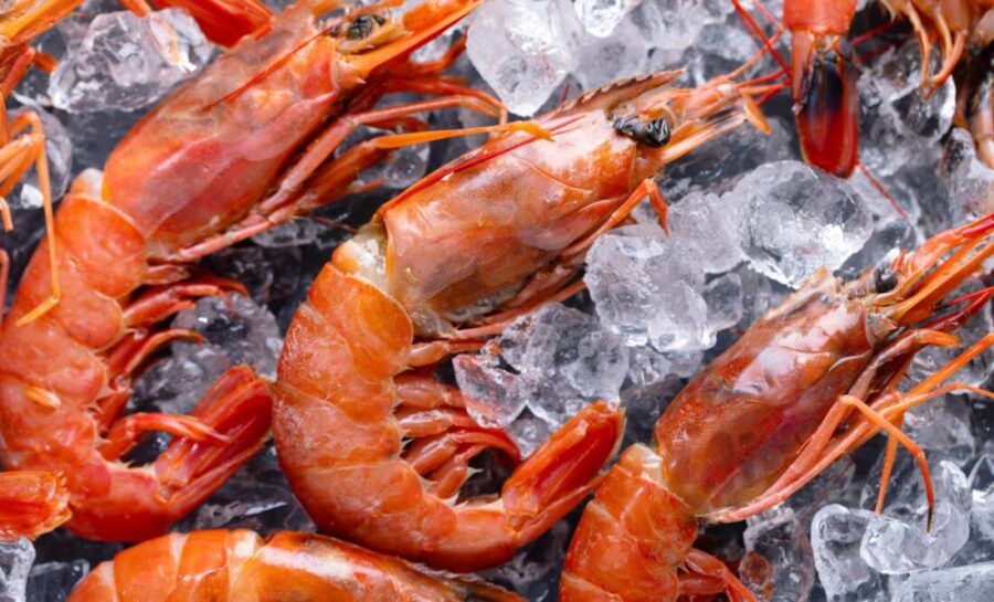 Alerta en Indonesia tras detectar cargamento de camarones radiactivos exportados a EE. UU.