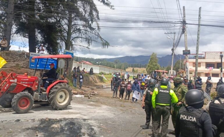  Manifestantes ingresan a florícolas y maltratan a trabajadores