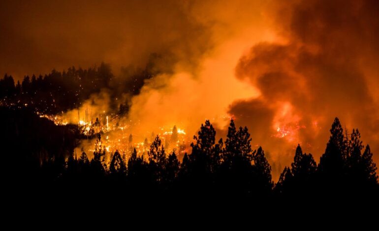  EE. UU. en emergencia por peligrosos incendios forestales que se propagan rápidamente
