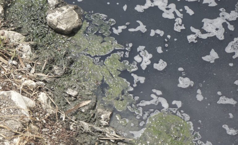 Caca, detergente, aluminio; así esta de contaminado el rio Daule