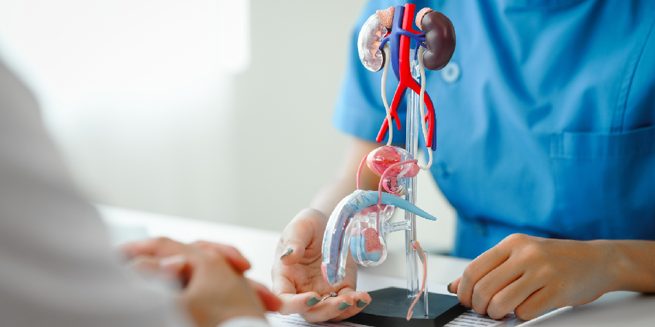 Cáncer de próstata: La importancia del ejercicio físico en la reducción de la mortalidad