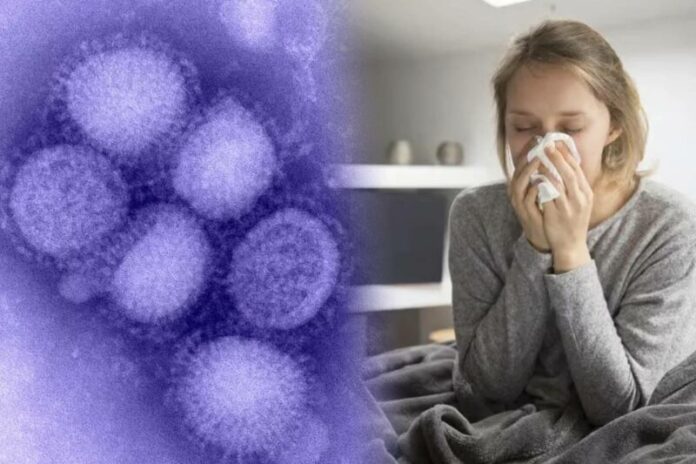 Casos de gripe A H3N2 genera preocupación en América Latina