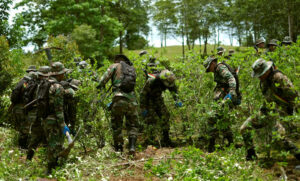 La DEA realiza sobrevuelos en zona  cocalera del Chapare en Bolivia