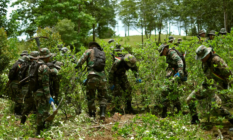 La DEA realiza sobrevuelos en zona  cocalera del Chapare en Bolivia