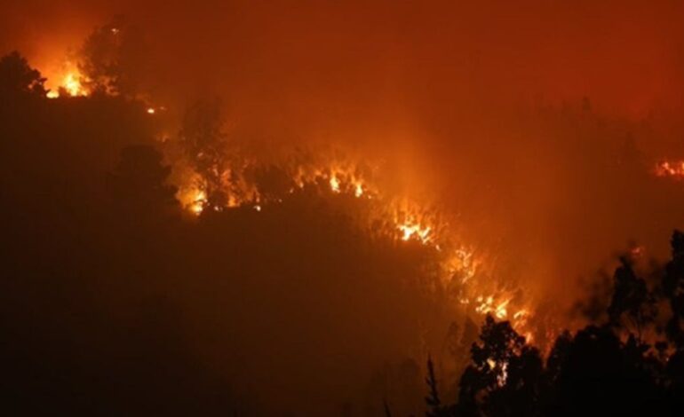 Devastadores incendios en Chile: Aumenta a 15 el número de los fallecidos y a más de 50.000 los evacuados