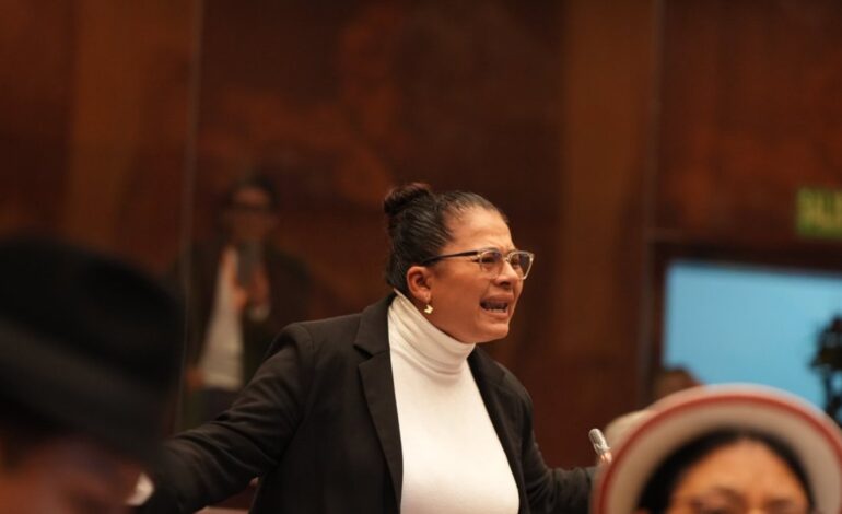  La bancada correista en crisis: asambleísta Sandra Figueroa denunció presiones dentro de su bloque