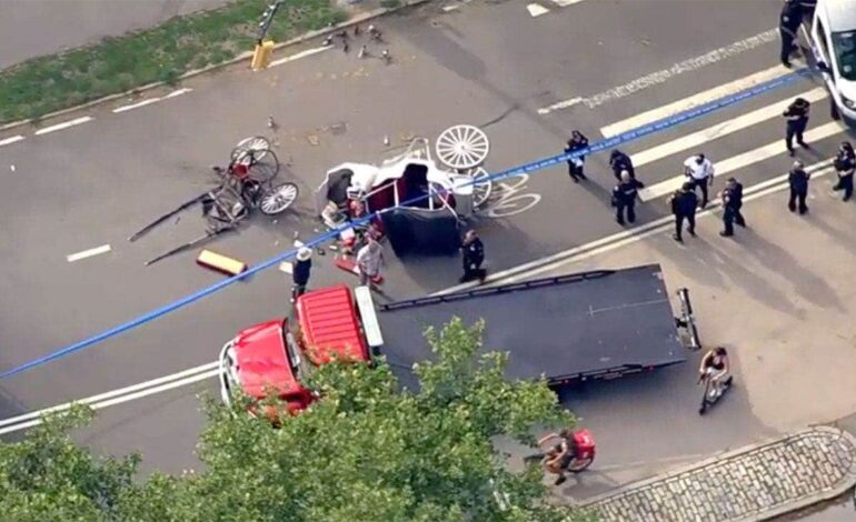 Un joven de 18 años muere tras un accidente en un carruaje de caballos en Nueva York