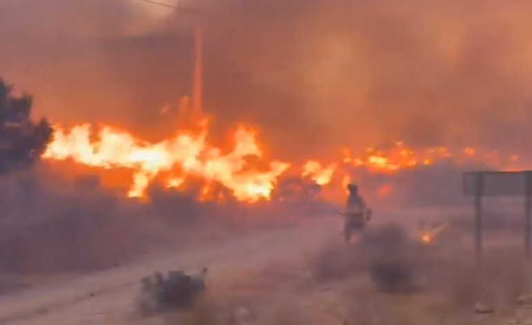 Incendio forestal en España: Al menos 12 personas muertas por siniestro en región de Andalucía