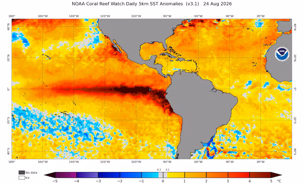 Ecuador declara alerta roja en todo el país por el fenómeno El Niño
